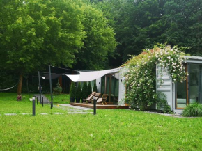KaZielnik